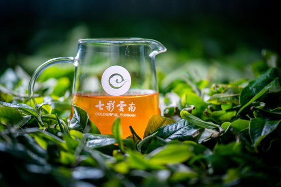 “七彩云南”諾仕達(dá) 初心一片在鄉(xiāng)園——民族品牌 “七彩云南”成長記