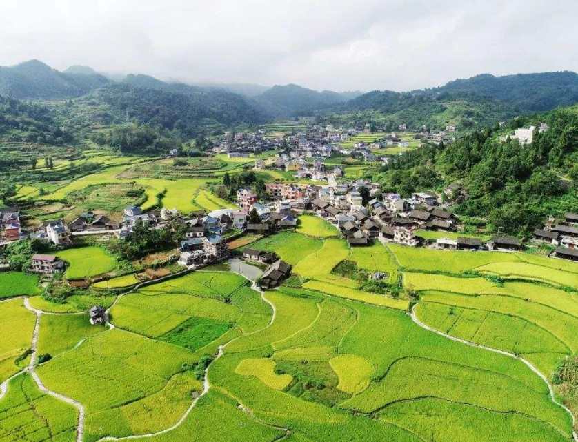 賬面資產(chǎn)達(dá)6.5萬(wàn)億元 全國(guó)農(nóng)村集體家底已基本摸清 