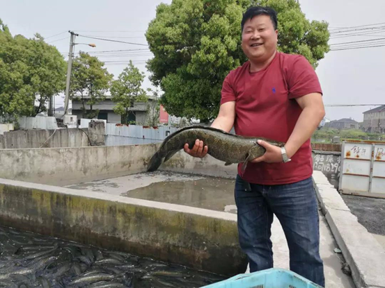 高福良：一個(gè)普通黑魚養(yǎng)殖戶的圓夢(mèng)之路