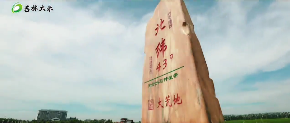 吉林新農(nóng)人的大米人生