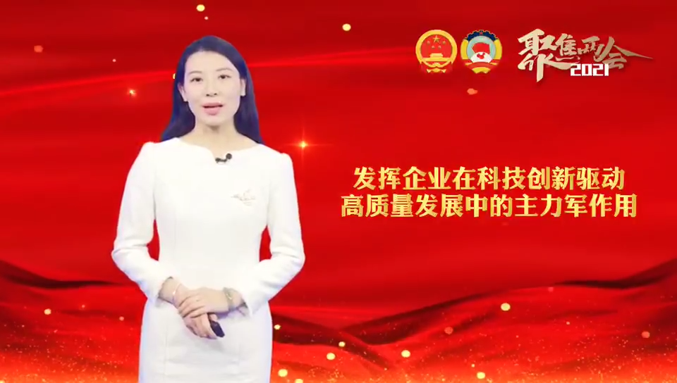 洪杰：發(fā)揮企業(yè)在科技創(chuàng)新驅(qū)動高質(zhì)量發(fā)展中的主力軍作用