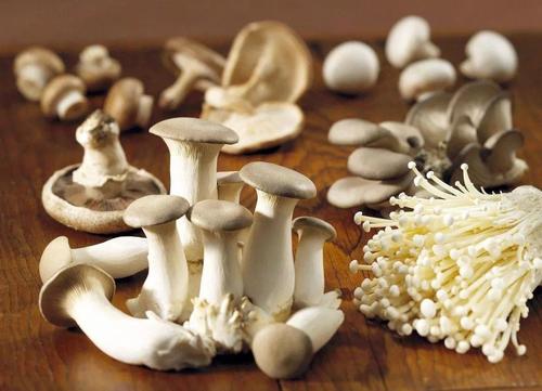 食用菌企業(yè)萬(wàn)辰生物創(chuàng)業(yè)板上市獲證監(jiān)會(huì)同意