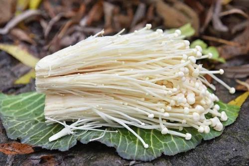 華綠生物將登陸創(chuàng)業(yè)板，九成收入來(lái)自金針菇，自稱有產(chǎn)品單一風(fēng)險(xiǎn)
