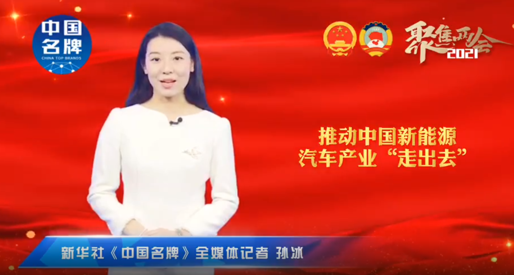 王鳳英代表：推動中國新能源汽車產(chǎn)業(yè)“走出去”