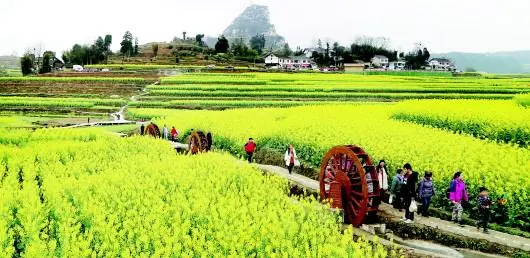 把鄉(xiāng)村旅游打造成鄉(xiāng)村振興新引擎
