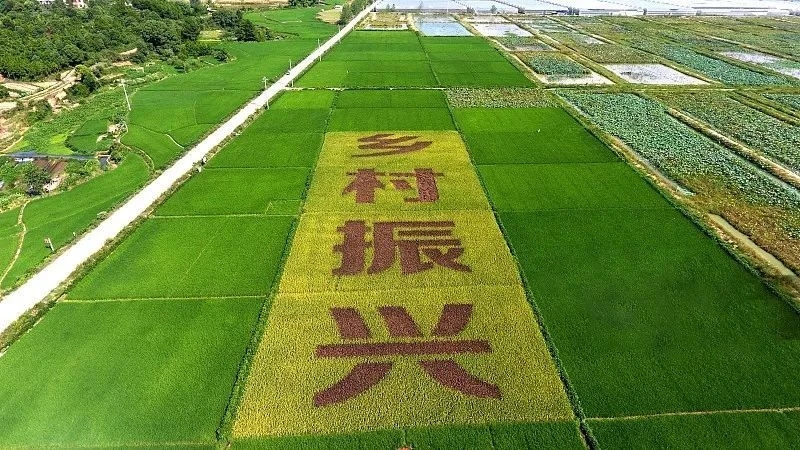 做好鄉(xiāng)村振興“五篇文章”