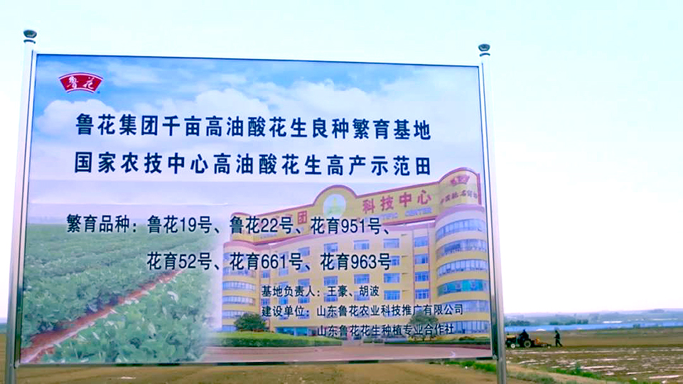 魯花：科技賦能品質(zhì)提升 探索食用油行業(yè)高質(zhì)量發(fā)展