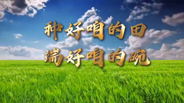 以歌曲為心聲 助力鄉(xiāng)村振興