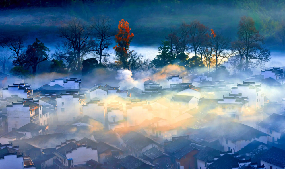 江西：鄉(xiāng)村主播“活了”山里經(jīng)濟(jì)