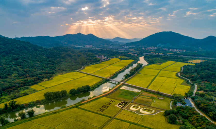 以產(chǎn)業(yè)高質(zhì)量發(fā)展促鄉(xiāng)村振興