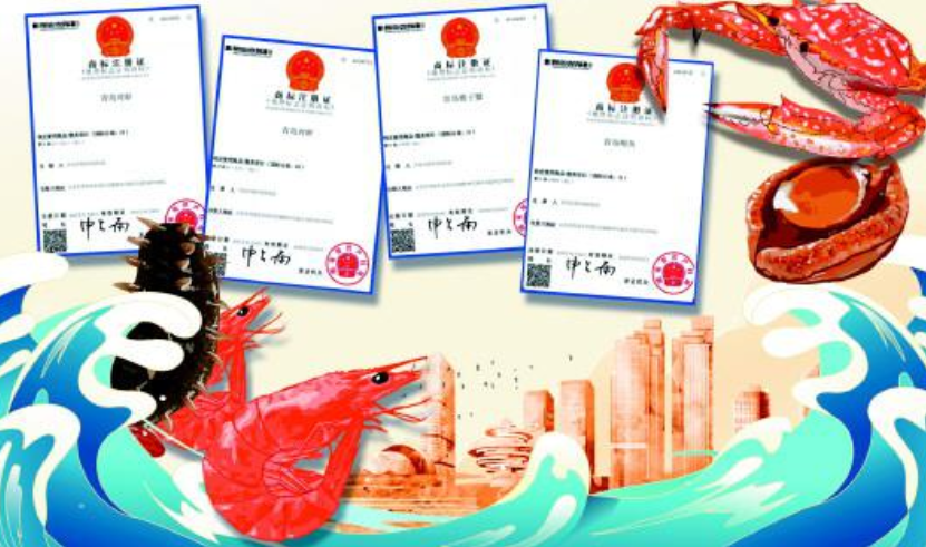 對(duì)蝦、鮑魚、梭子蟹首冠“青”字號(hào) 青島漁業(yè)品牌化如何乘勢(shì)而上?