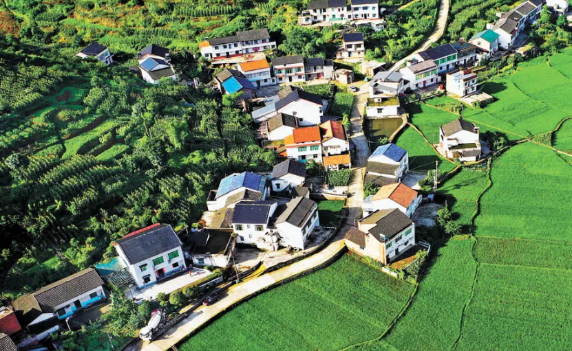 完善農(nóng)村要素市場(chǎng)化配置