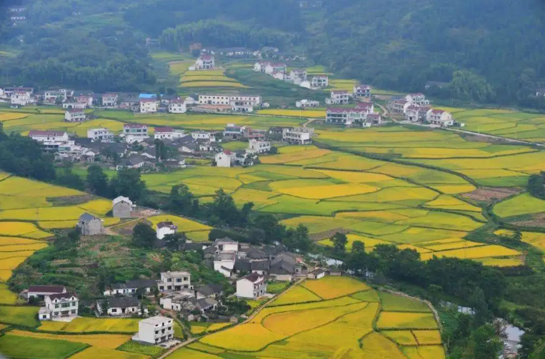 注意！國(guó)家鄉(xiāng)村振興局發(fā)布防騙公告