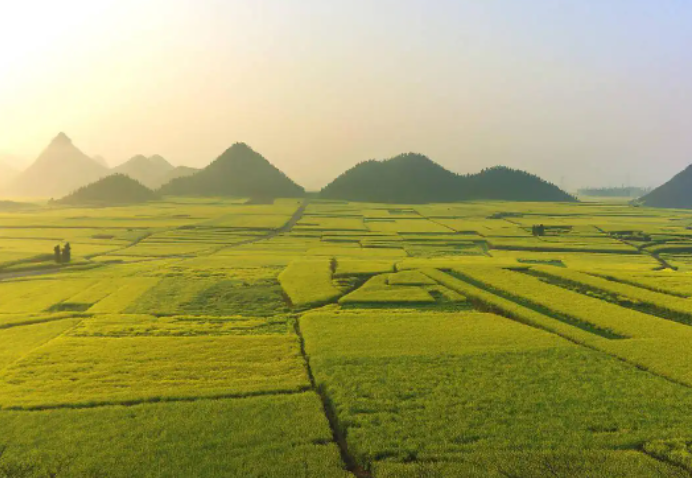 我國(guó)高標(biāo)準(zhǔn)農(nóng)田建設(shè)通則發(fā)布 突出綠色發(fā)展理念