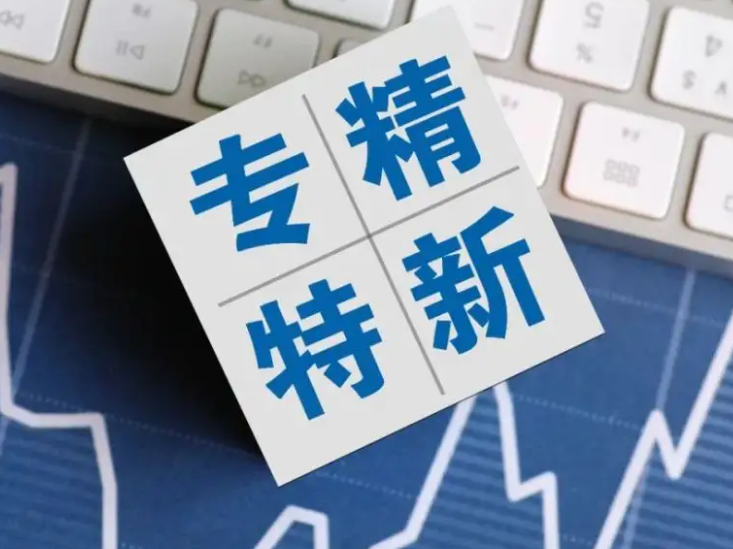 完善“專精特新”企業(yè)融資機制