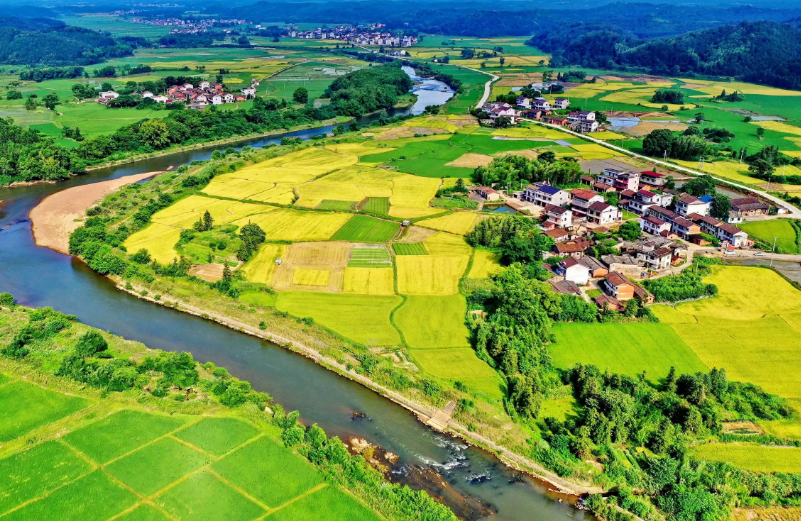民政部多措并舉引導(dǎo)社會(huì)組織參與鄉(xiāng)村振興