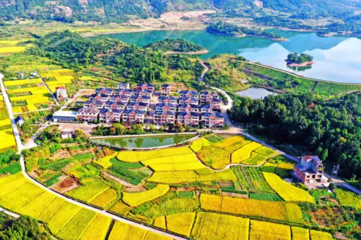 中共中央辦公廳 國(guó)務(wù)院辦公廳印發(fā)《鄉(xiāng)村建設(shè)行動(dòng)實(shí)施方案》