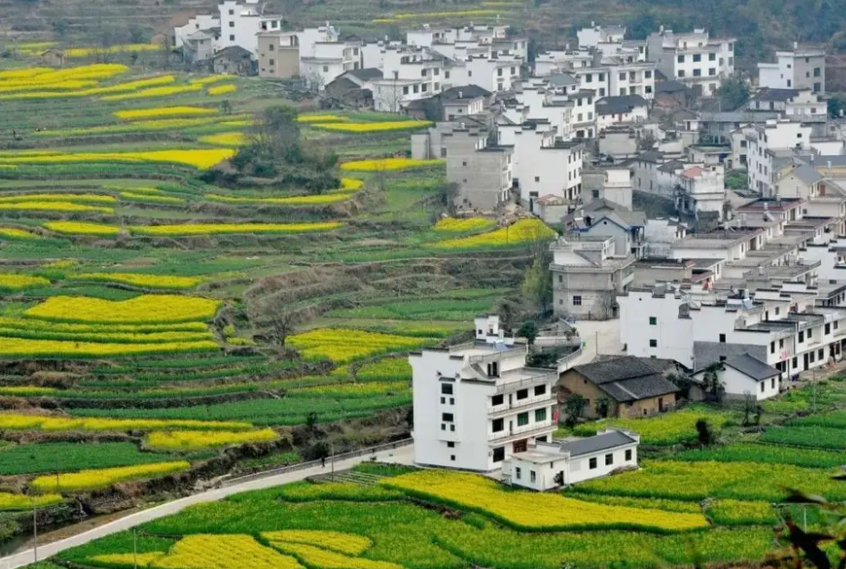 新時(shí)代鄉(xiāng)村振興戰(zhàn)略全面推進(jìn)