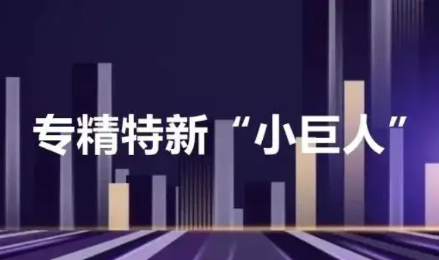 我國已遴選848家制造業(yè)單項冠軍企業(yè)