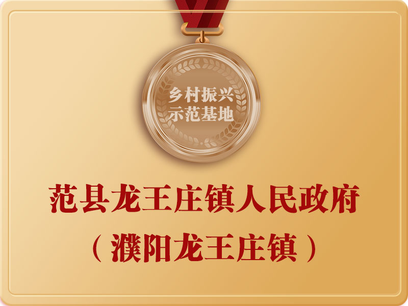 范縣龍王莊鎮(zhèn)人民政府（濮陽龍王莊鎮(zhèn)）