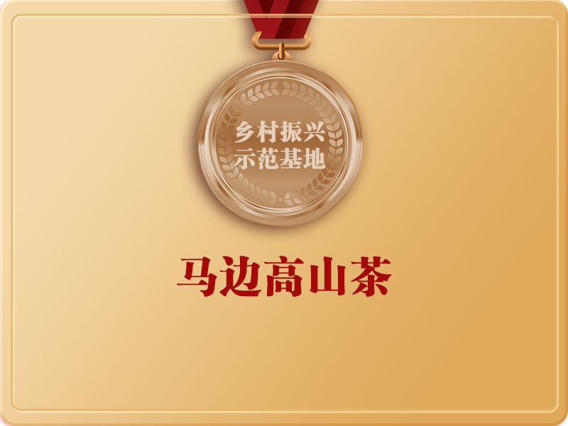 馬邊高山茶