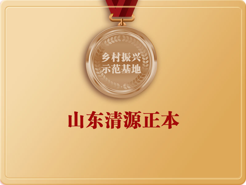 山東清源正本