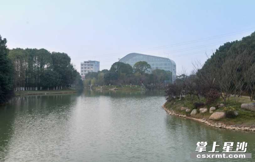 扎根水鄉(xiāng)沃土 助力鄉(xiāng)村振興
