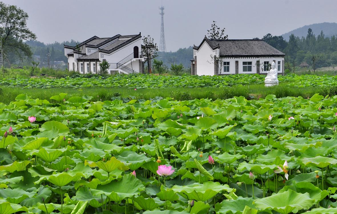 畫出來的村莊——郝堂