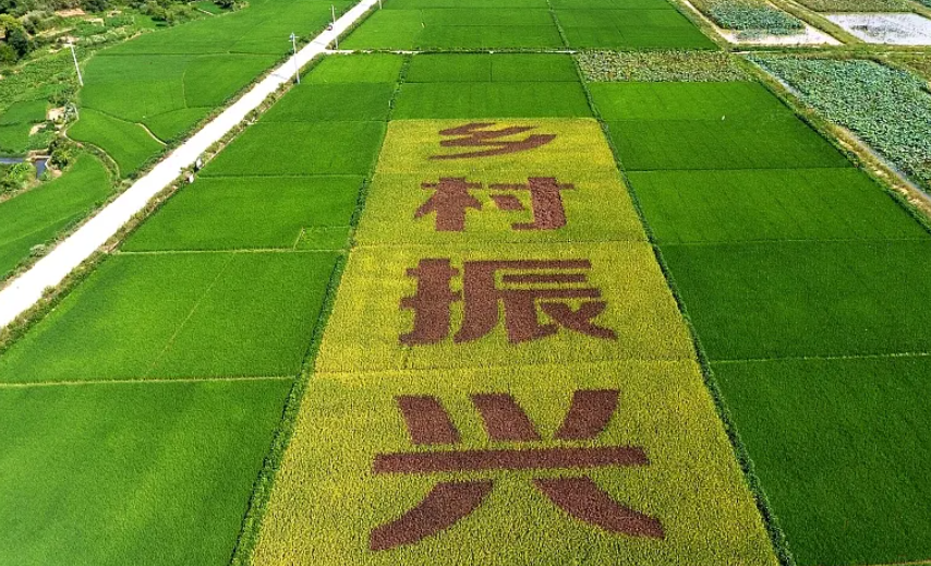 兩部門有關(guān)負(fù)責(zé)人談鄉(xiāng)村振興戰(zhàn)略規(guī)劃實(shí)施進(jìn)展