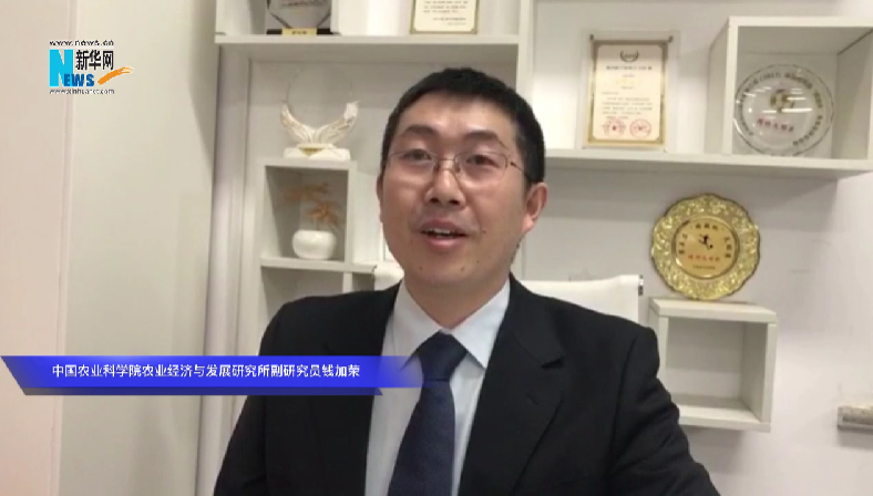 加快建設(shè)農(nóng)業(yè)強(qiáng)國(guó) 迫切需要加快農(nóng)業(yè)科技創(chuàng)新步伐