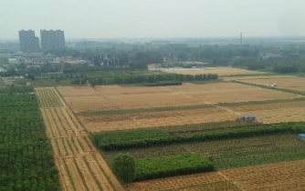 全國人大代表萬正峰：保障糧食安全 推進鄉(xiāng)村振興