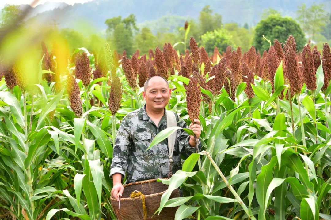《人民日?qǐng)?bào)》一句“早上好”讓全國(guó)認(rèn)識(shí)常山