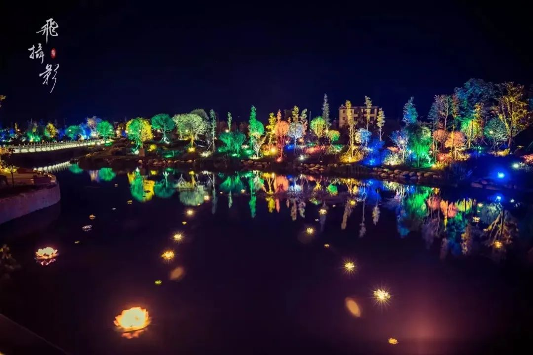 端陽花街 花禮綻放：2023 云南保山 端陽花街國際商貿(mào)文化展銷會盛大開幕