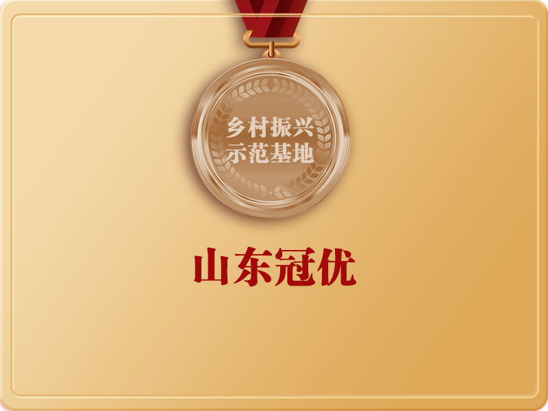 山東冠優(yōu)