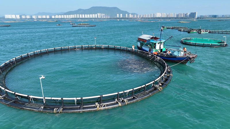 海陸并進 陵水農(nóng)業(yè)向深圖強