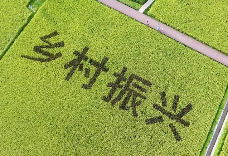 農(nóng)業(yè)農(nóng)村部辦公廳關(guān)于印發(fā)《支持脫貧地區(qū)打造區(qū)域公用品牌實(shí)施方案（2023-2025年）》的通知