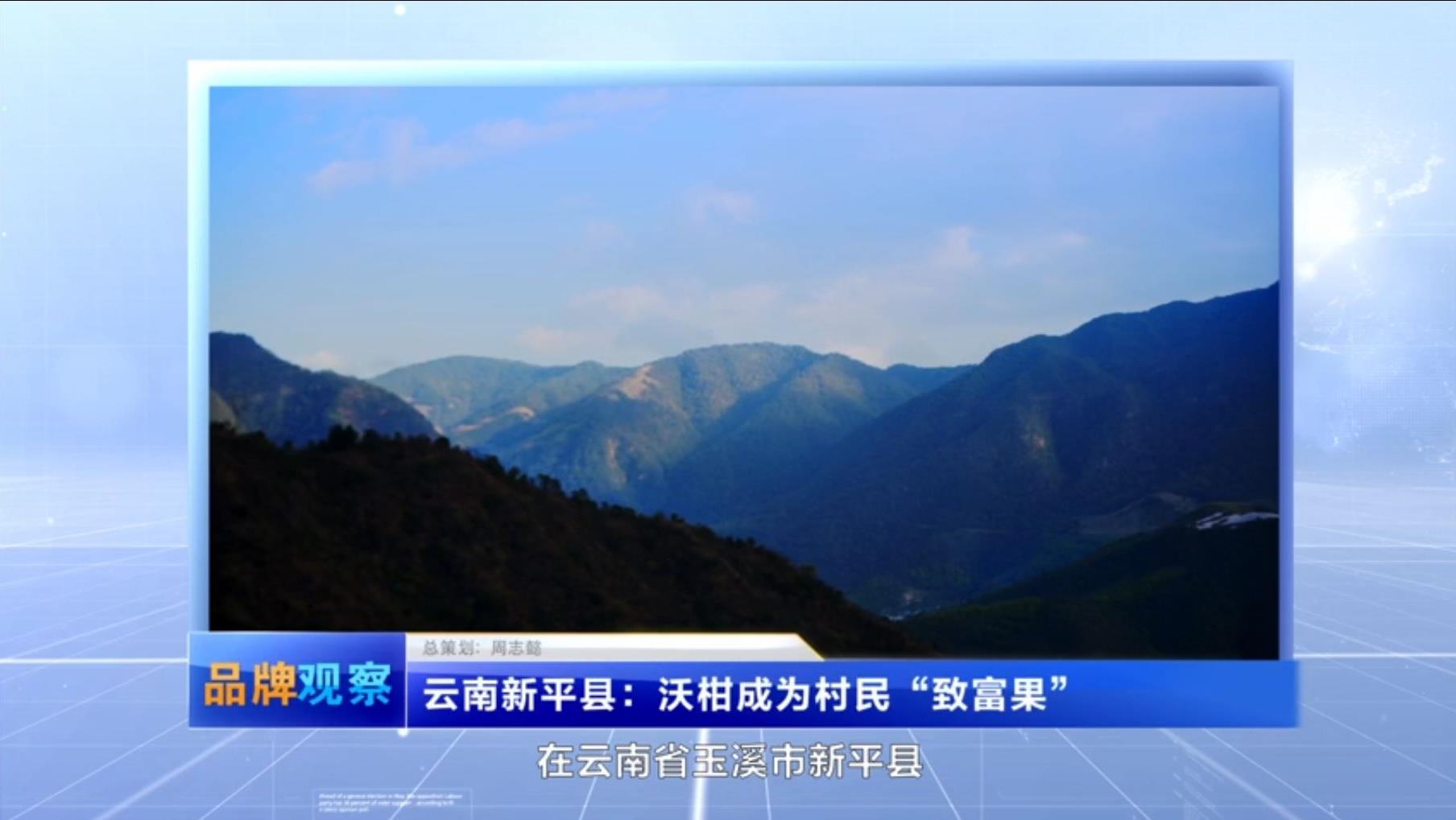 【品牌觀察】云南新平縣：沃柑成為村民“致富果”