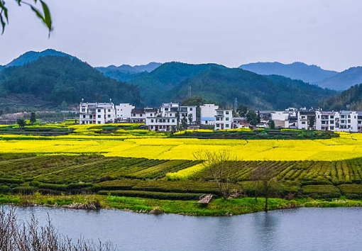 中國(guó)石油“益師計(jì)劃”：為鄉(xiāng)村振興教育注入磅礴動(dòng)力